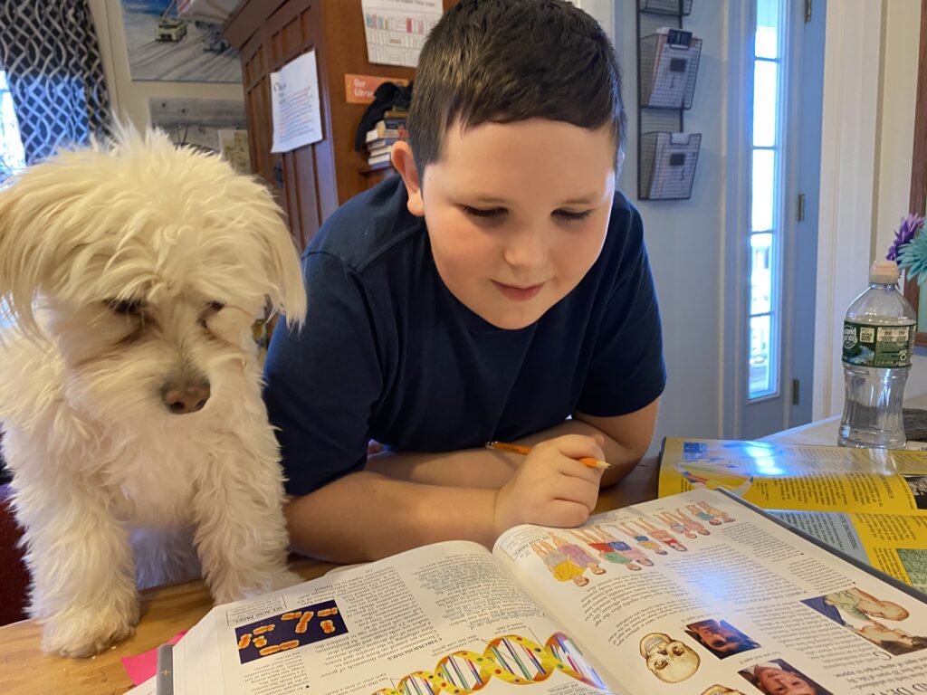 photo showing Sophie reading a book