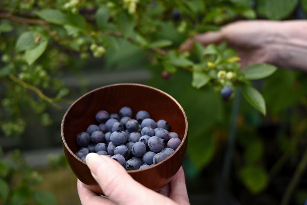 A person holding a bowl of blueberries