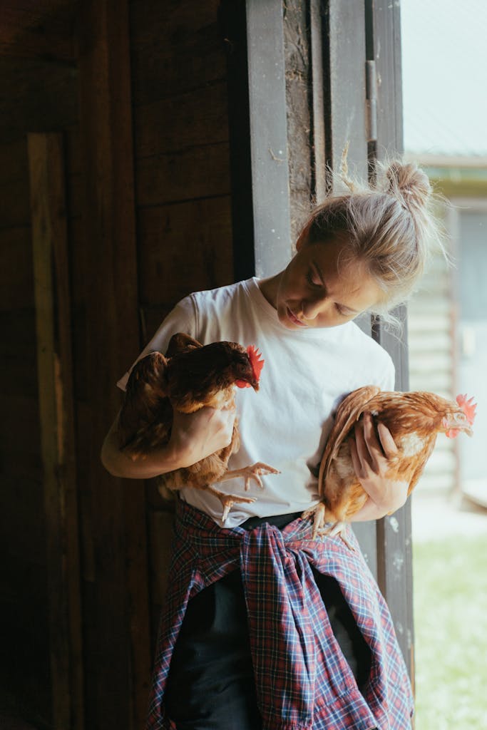 A young woman lovingly holds two chickens in a rustic farm setting.